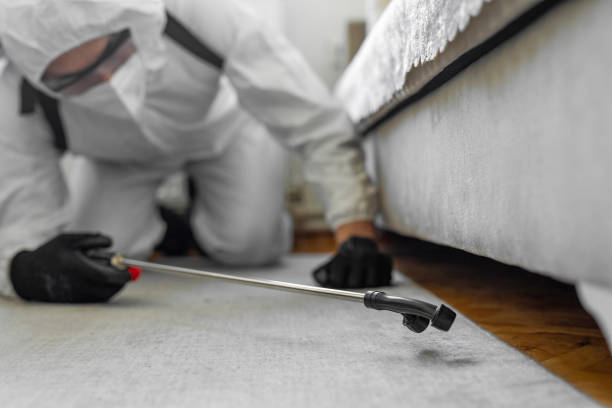 Professional Termite Control technician working in Wetherington, OH