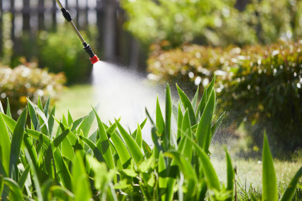 24/7 Emergency Termite Control experts in Wetherington, OH