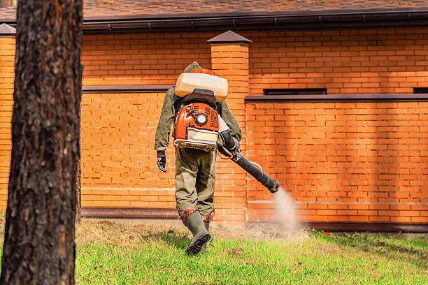 Top rated local Termite Control specialists in Wetherington, OH